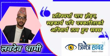 मिलिजुली पत्रकारिता : सान्दर्भिक छ वा छैन?
